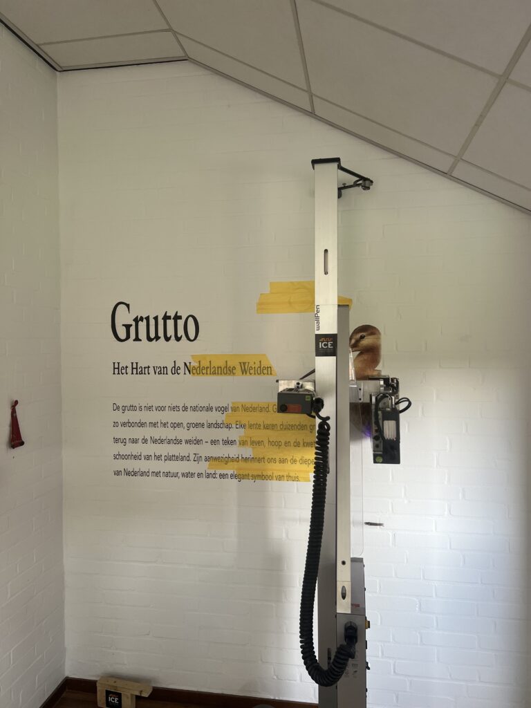 IMG_3498